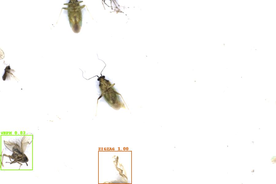 Image 21